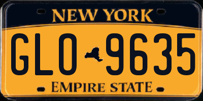 NY license plate GLO9635