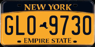 NY license plate GLO9730