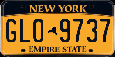 NY license plate GLO9737