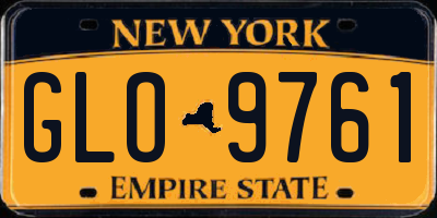 NY license plate GLO9761