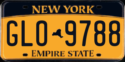 NY license plate GLO9788