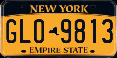 NY license plate GLO9813