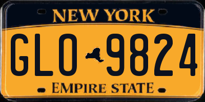 NY license plate GLO9824