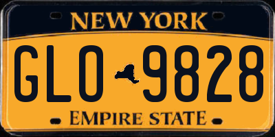NY license plate GLO9828