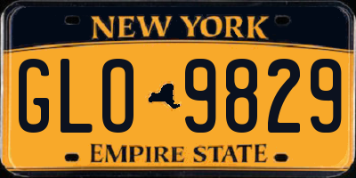 NY license plate GLO9829