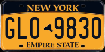 NY license plate GLO9830