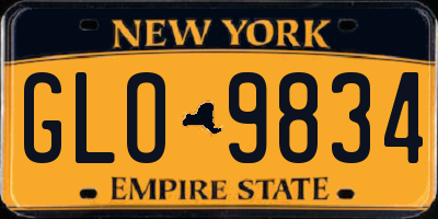 NY license plate GLO9834