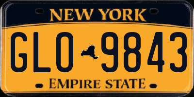 NY license plate GLO9843