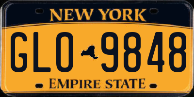 NY license plate GLO9848
