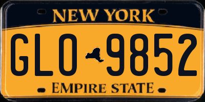 NY license plate GLO9852