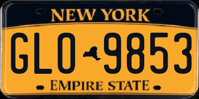 NY license plate GLO9853