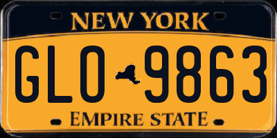 NY license plate GLO9863