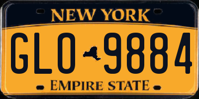 NY license plate GLO9884