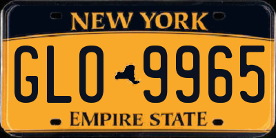 NY license plate GLO9965