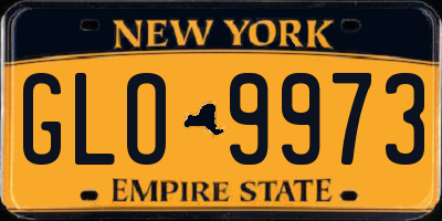 NY license plate GLO9973