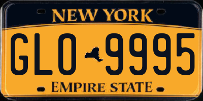 NY license plate GLO9995