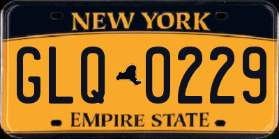 NY license plate GLQ0229