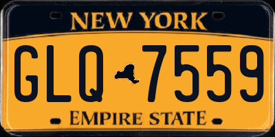 NY license plate GLQ7559
