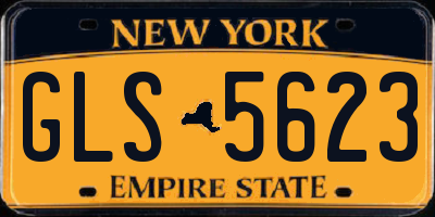 NY license plate GLS5623