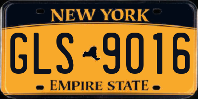 NY license plate GLS9016
