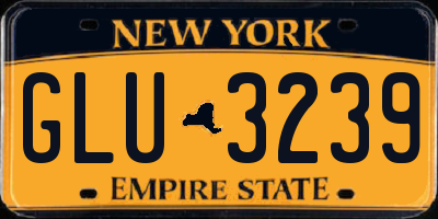 NY license plate GLU3239