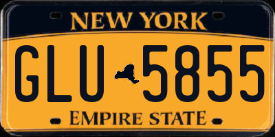 NY license plate GLU5855