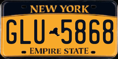 NY license plate GLU5868