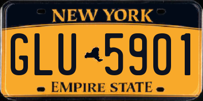 NY license plate GLU5901