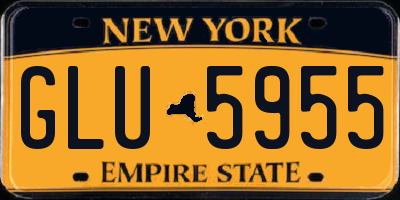 NY license plate GLU5955