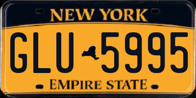 NY license plate GLU5995