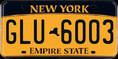 NY license plate GLU6003