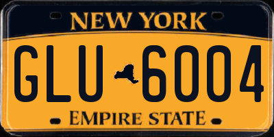 NY license plate GLU6004