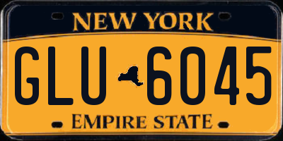 NY license plate GLU6045