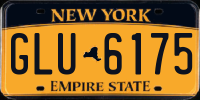 NY license plate GLU6175