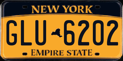 NY license plate GLU6202