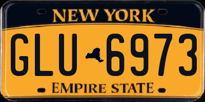 NY license plate GLU6973