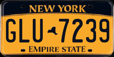 NY license plate GLU7239