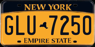 NY license plate GLU7250