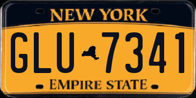 NY license plate GLU7341