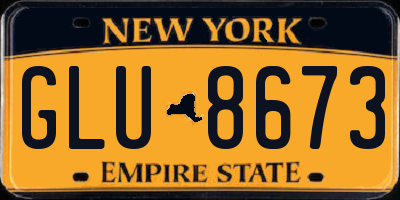 NY license plate GLU8673