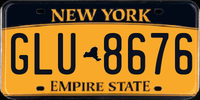 NY license plate GLU8676