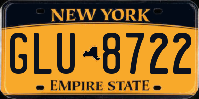 NY license plate GLU8722