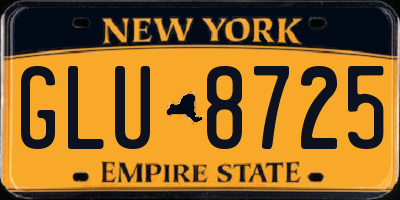NY license plate GLU8725