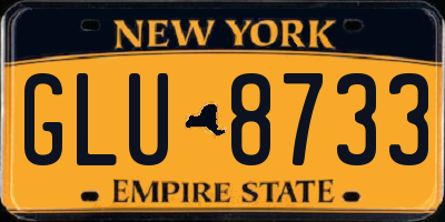 NY license plate GLU8733