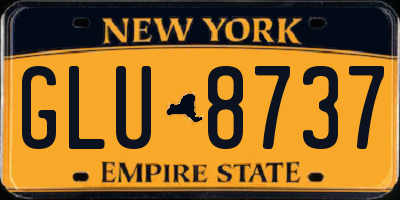 NY license plate GLU8737