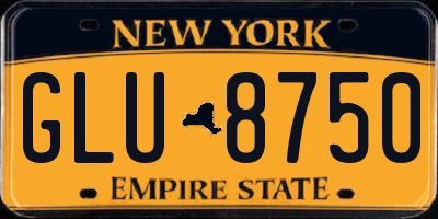 NY license plate GLU8750