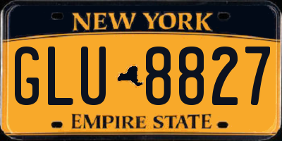 NY license plate GLU8827