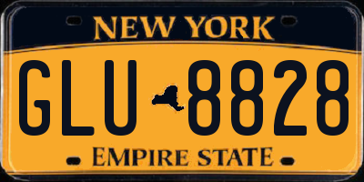 NY license plate GLU8828