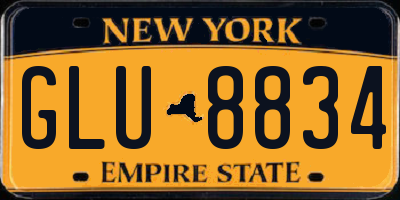 NY license plate GLU8834