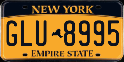 NY license plate GLU8995